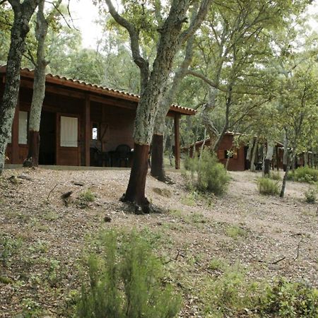 Camping Maçanet de Cabrenys Kültér fotó