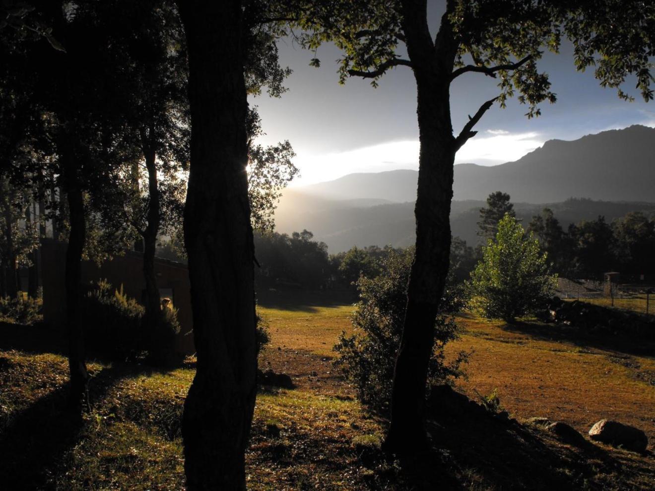 Camping Maçanet de Cabrenys Kültér fotó