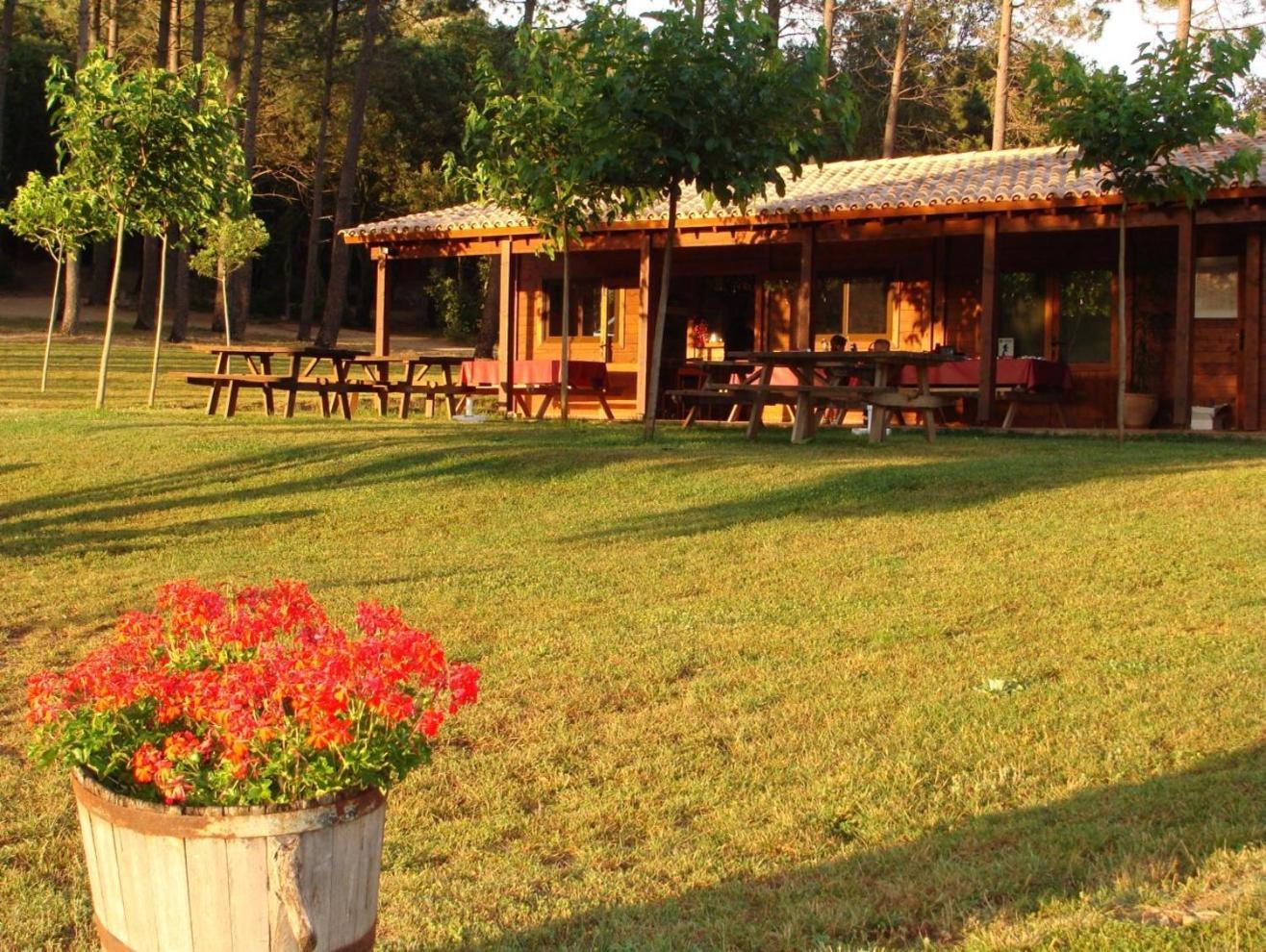 Camping Maçanet de Cabrenys Kültér fotó