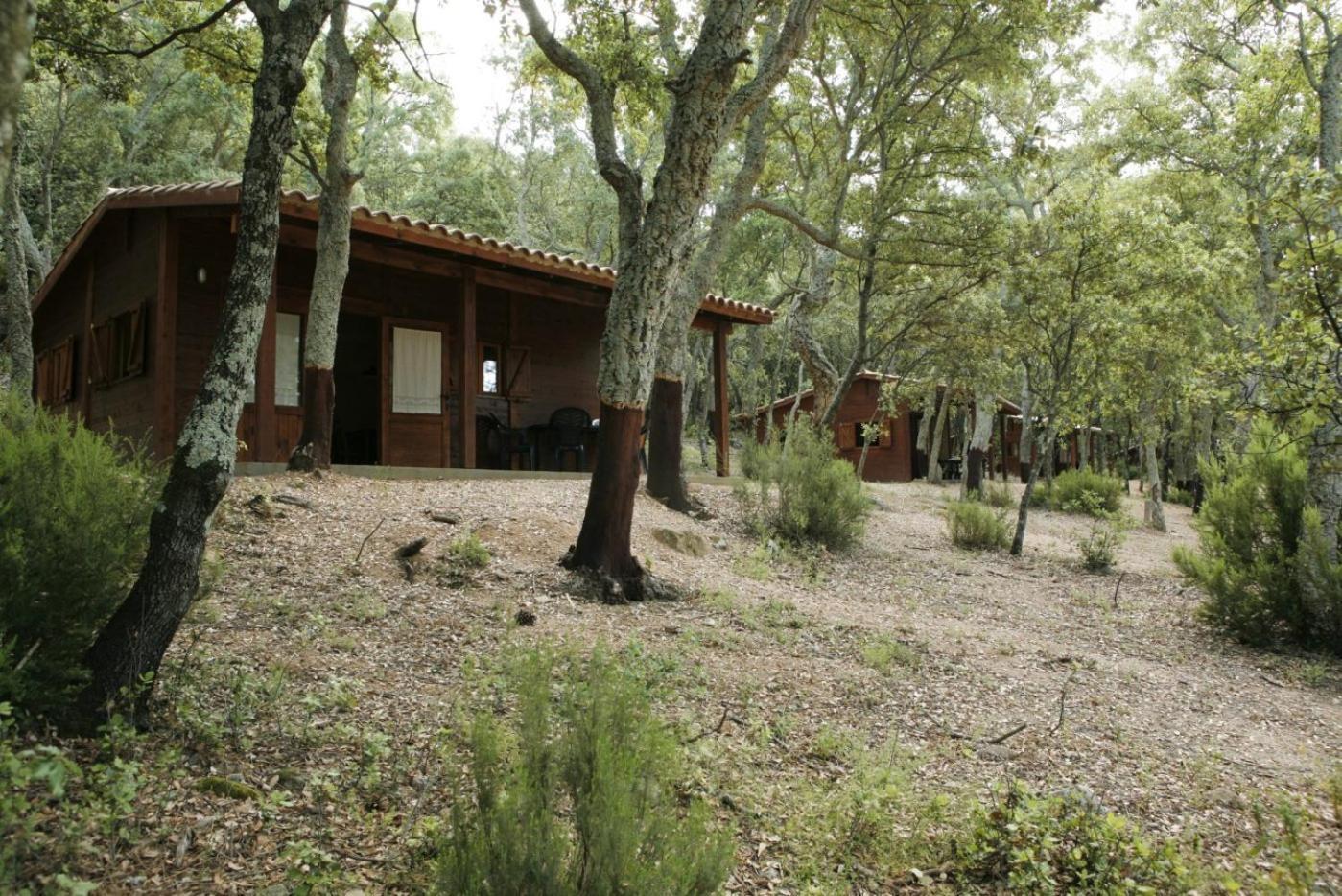 Camping Maçanet de Cabrenys Kültér fotó