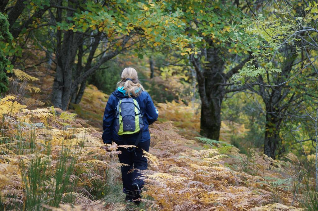 Camping Maçanet de Cabrenys Kültér fotó