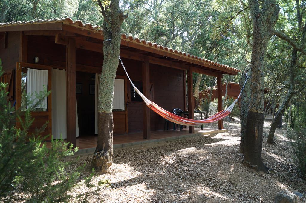 Camping Maçanet de Cabrenys Kültér fotó