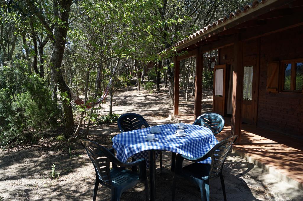 Camping Maçanet de Cabrenys Kültér fotó